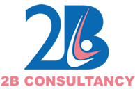 2B Consultancy